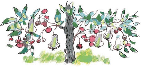 Сказки не по правилам