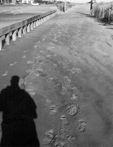 Фейкбук. Реальная история, основанная на настоящей лжи