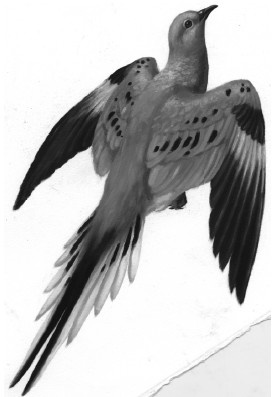 Земля без людей Земля без людей