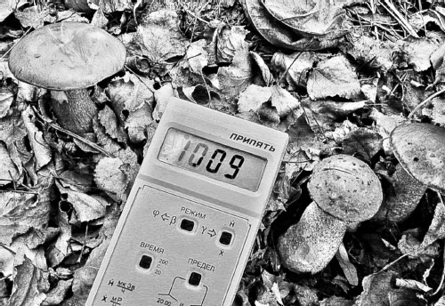 Сверхигра Сверхигра