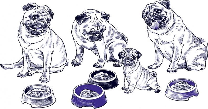 Правдивые сказки про собак Правдивые сказки про собак