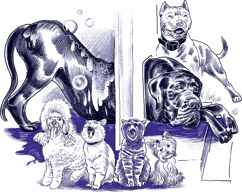 Правдивые сказки про собак Правдивые сказки про собак