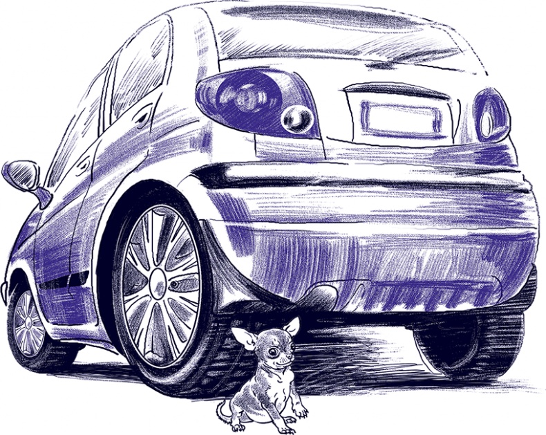 Правдивые сказки про собак Правдивые сказки про собак