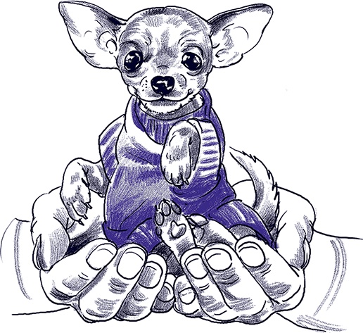 Правдивые сказки про собак Правдивые сказки про собак