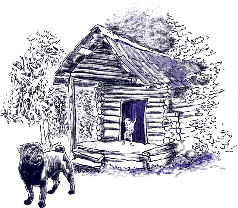 Правдивые сказки про собак Правдивые сказки про собак