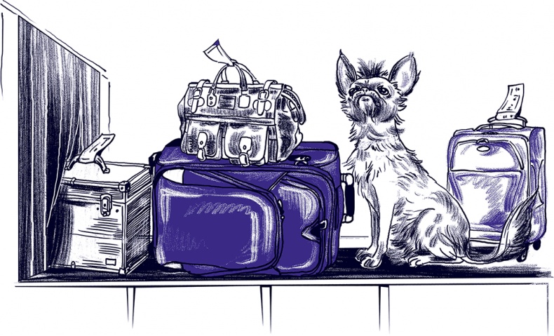 Правдивые сказки про собак Правдивые сказки про собак