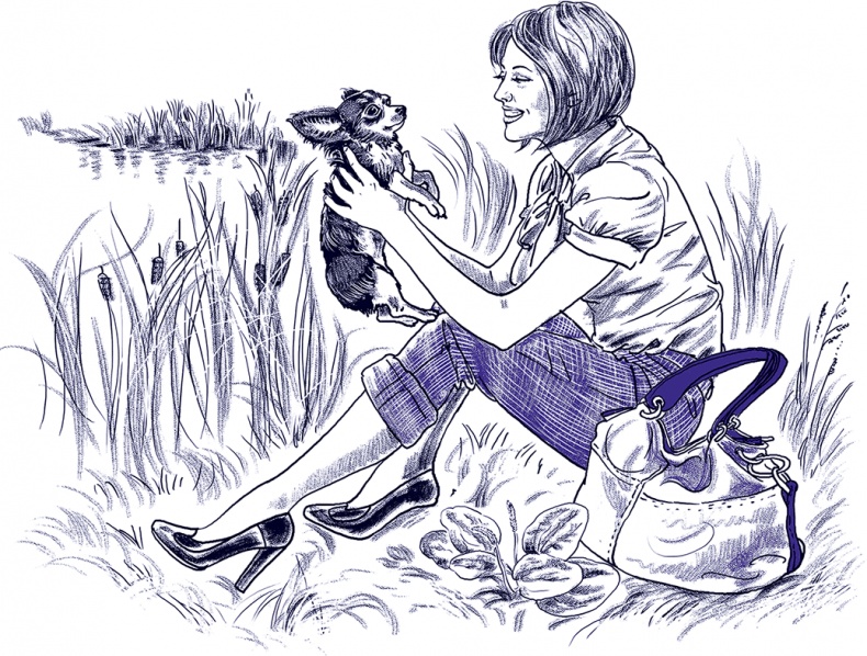 Правдивые сказки про собак Правдивые сказки про собак