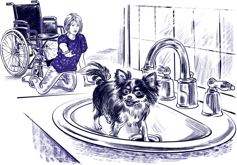 Правдивые сказки про собак Правдивые сказки про собак