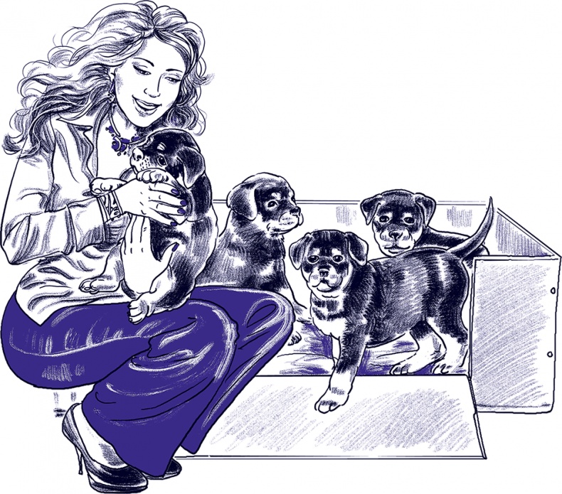 Правдивые сказки про собак Правдивые сказки про собак