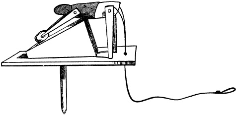 Жизнь в Древнем Египте Жизнь в Древнем Египте