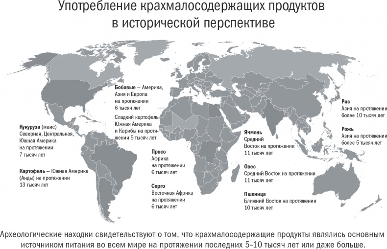 Энергия крахмала. Ешьте вкусно, заботьтесь о здоровье и худейте навсегда Энергия крахмала. Ешьте вкусно, заботьтесь о здоровье и худейте навсегда