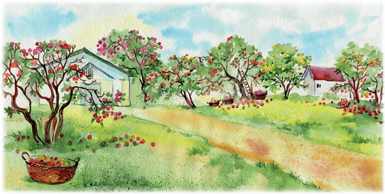 Яблочная сказка Яблочная сказка