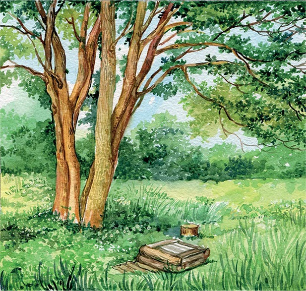 Родники Родники