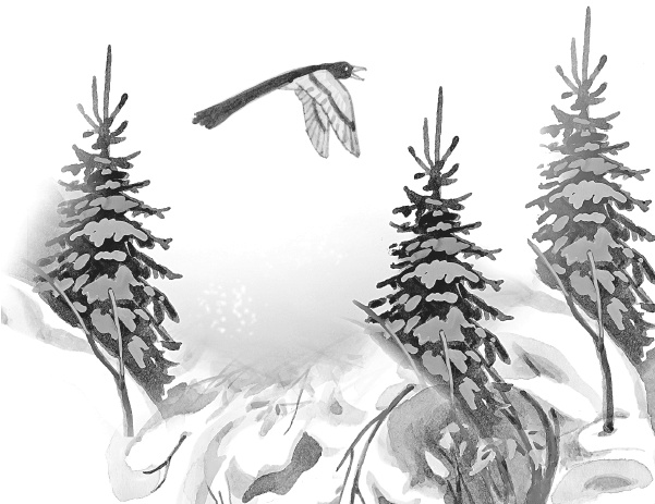 Лесные шорохи Лесные шорохи