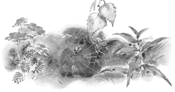 Лесные шорохи