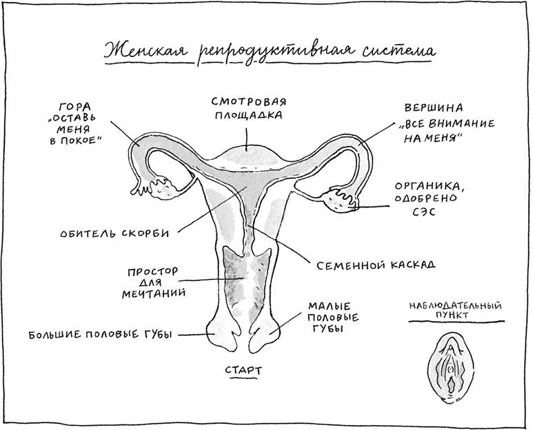 Я не такая. Девчонка рассказывает, чему она "научилась"