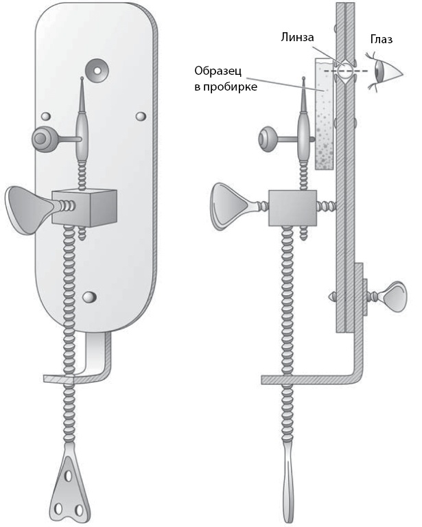 Двигатели жизни. Как бактерии сделали наш мир обитаемым