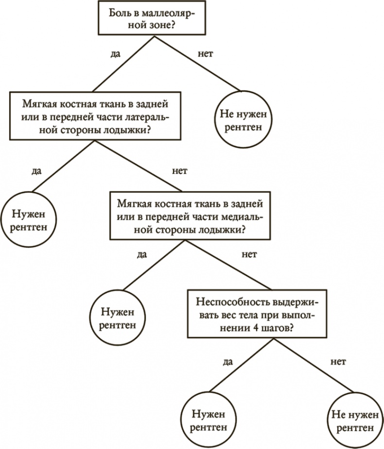 Понимать риски. Как выбирать правильный курс