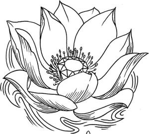 Мудры. Все в одной книге. Исполни любое желание Мудры. Все в одной книге. Исполни любое желание