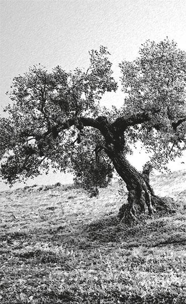 Невыбирающее осознавание Невыбирающее осознавание