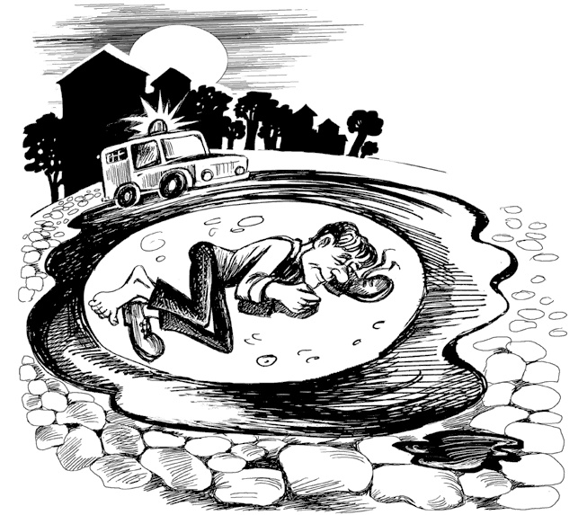 Бунт в тарелке Бунт в тарелке