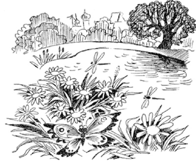 13-й карась 13-й карась