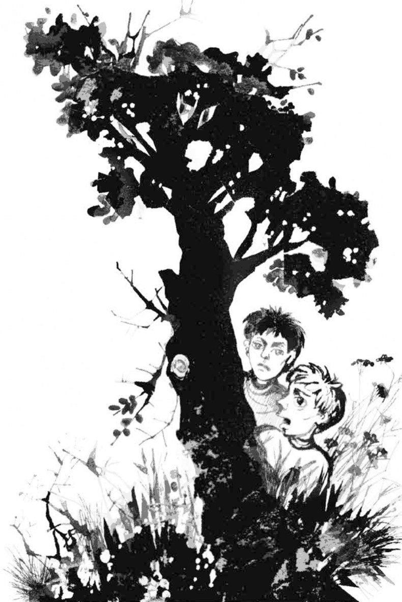 13-й карась 13-й карась