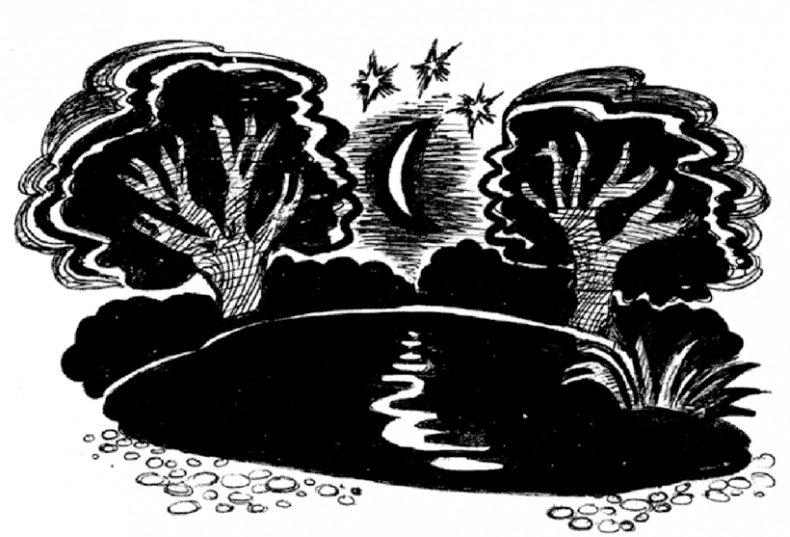 13-й карась 13-й карась