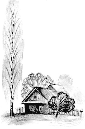 13-й карась 13-й карась