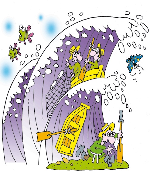 Бабочка и море Бабочка и море