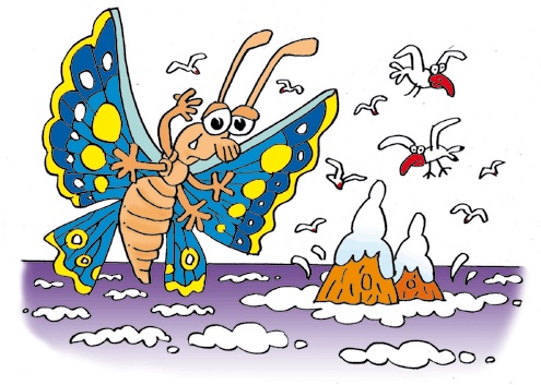 Бабочка и море Бабочка и море