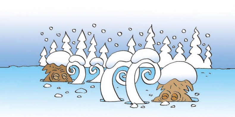 Мороз Иваныч и Морозко Мороз Иваныч и Морозко