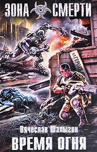 Время огня - Вячеслав Шалыгин