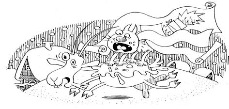 Снежный борщ Снежный борщ