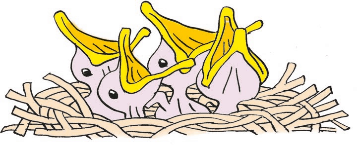 Перепёлка и Воробей Перепёлка и Воробей