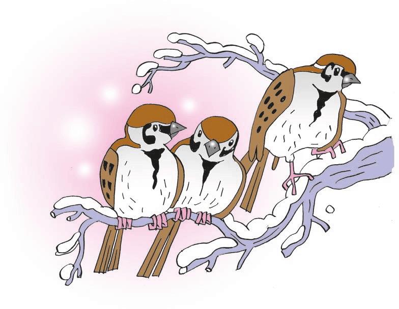 Перепёлка и Воробей Перепёлка и Воробей