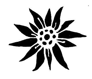 Тайна брата Тайна брата