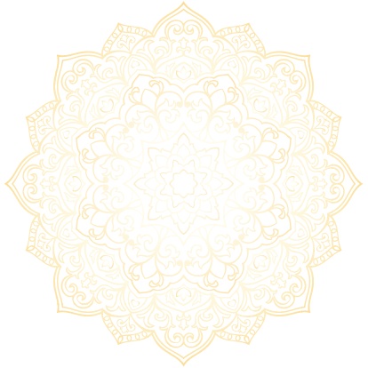 Основы йоги. Все, что нужно для самостоятельных занятий