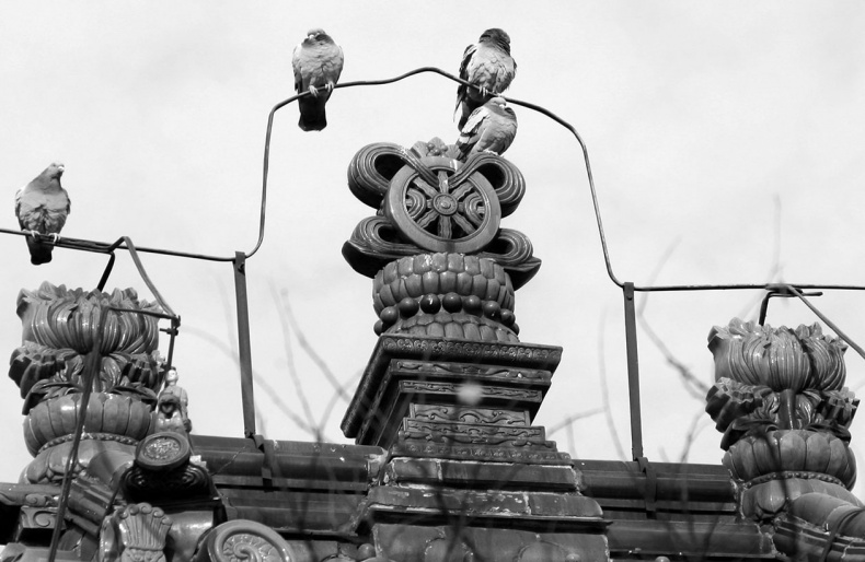 Как было на самом деле. Последний путь святого семейства Как было на самом деле. Последний путь святого семейства