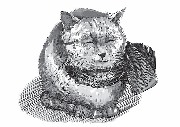 Кот Боб. Во имя любви Кот Боб. Во имя любви