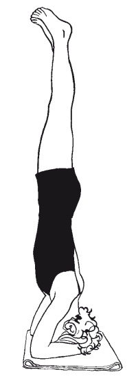 Научная йога. Демистификация Научная йога. Демистификация