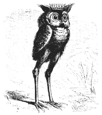 Сумеречные рассказы Сумеречные рассказы