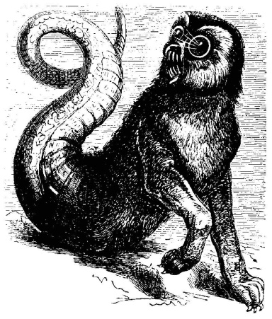 Сумеречные рассказы Сумеречные рассказы