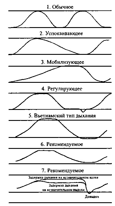 Баня. Лечебный эффект. Мифы и реальность Баня. Лечебный эффект. Мифы и реальность