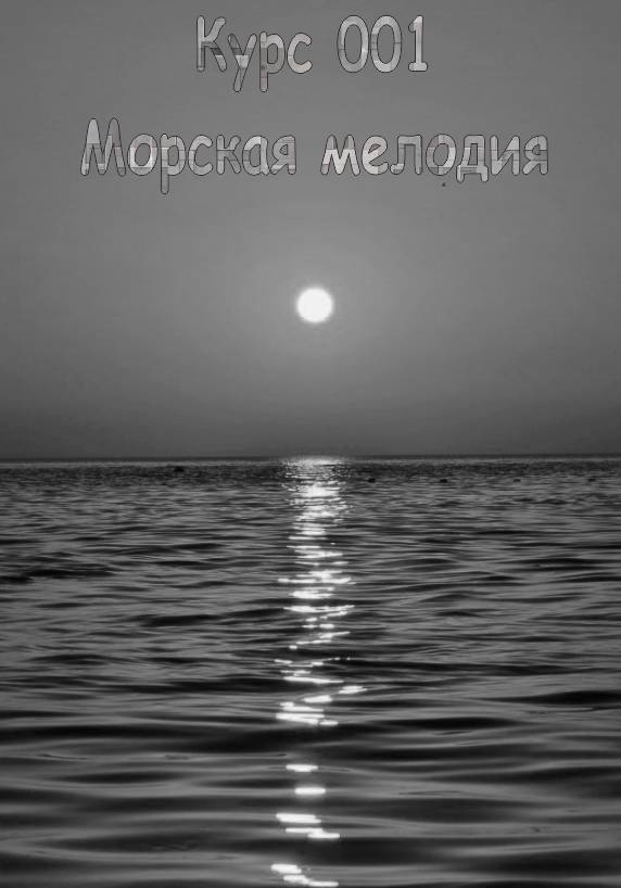 Симфония морской стали Симфония морской стали