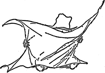 Медвежонок Паддингтон за границей Медвежонок Паддингтон за границей