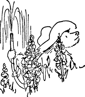 Медвежонок Паддингтон тут и там Медвежонок Паддингтон тут и там