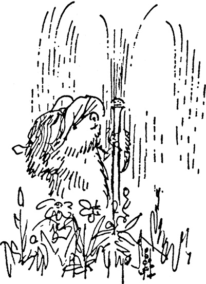 Медвежонок Паддингтон тут и там Медвежонок Паддингтон тут и там