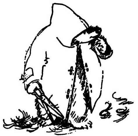 Паддингтон путешествует Паддингтон путешествует