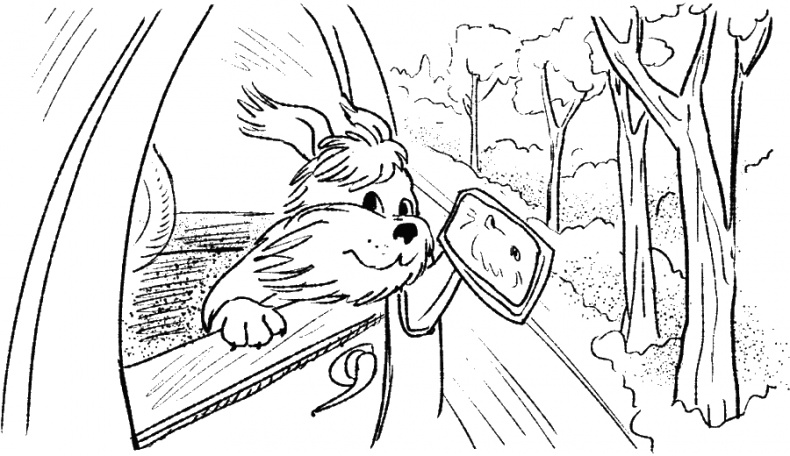 Приключения Пуха на Земле и в Космосе